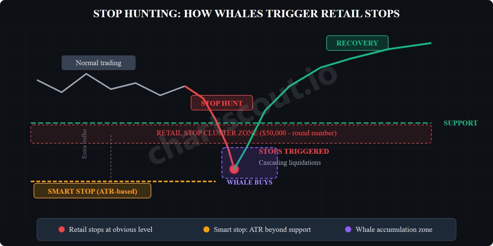 stop hunting whale manipulation crypto